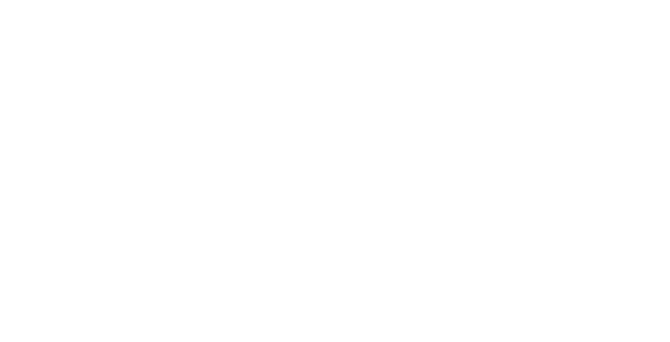 Scritta Youth Festival